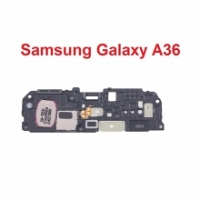 Loa Chuông, Loa Ngoài Samsung Galaxy A36 SM-A366B Speaker Ringer Buzzer